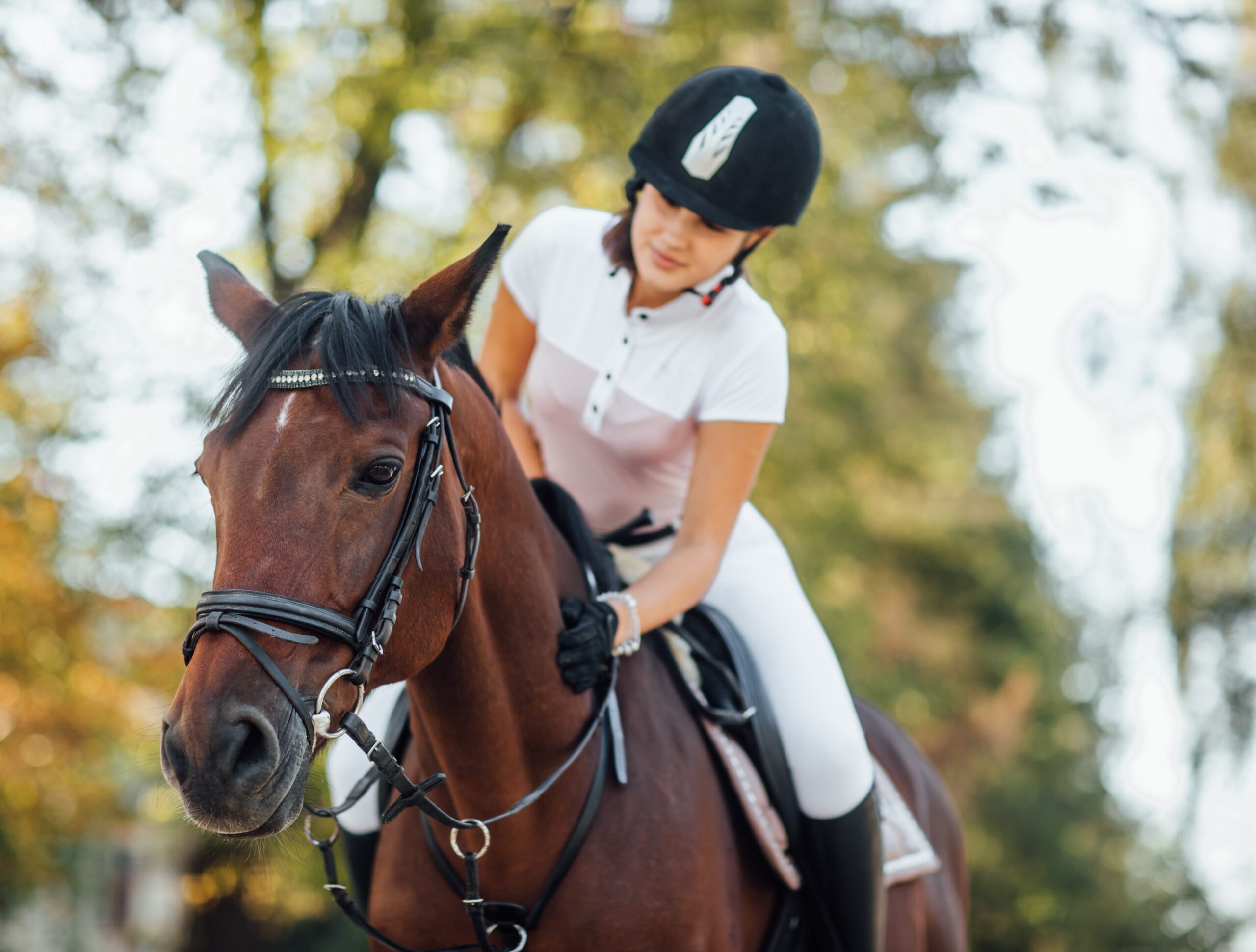 portrait-young-jockey-girl-riding-brown-beautiful-horse-autumn-forest